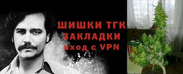 МДПВ Бронницы
