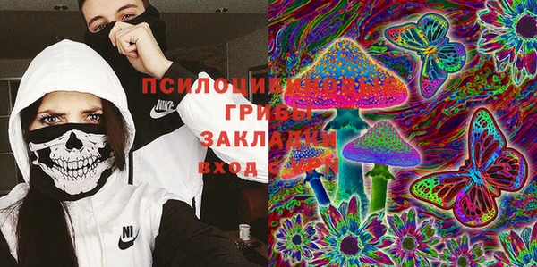 а пвп мука Бугульма
