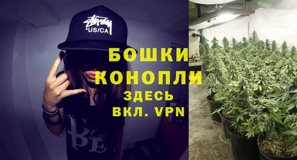 a pvp Бородино