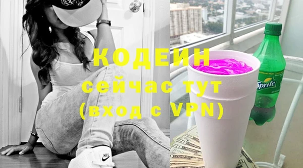 a pvp Бородино