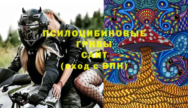 МДПВ Бронницы