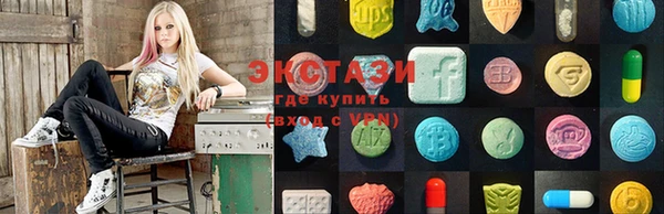 a pvp Бородино