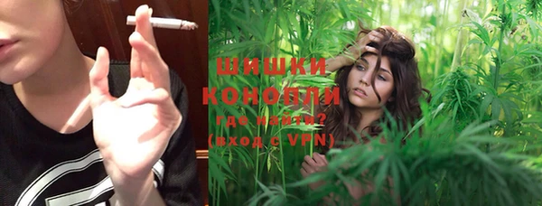 МДПВ Бронницы